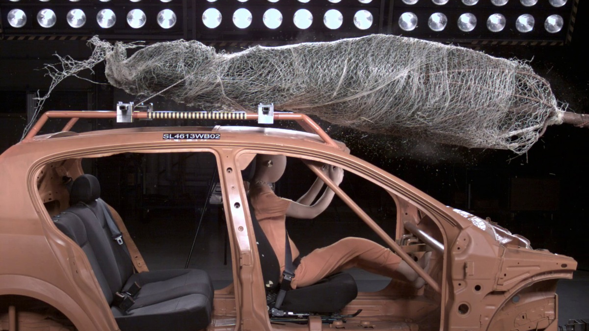 Beim Weihnachtsbaum-Transport drohen Gefahren / ADAC gibt Tipps für sicheren Transport / 60 Euro Bußgeld drohen - Foto: presseportal.de