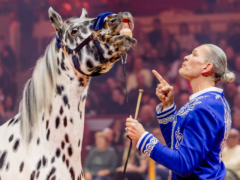 Götz Otto Stars in der Manege - Foto: Seven.One/Nadine Rupp, presseportal.de