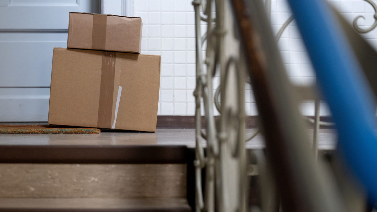 Die Katze hatte sich nach bisherigen Erkenntnissen unbemerkt in den Karton gelegt. (Symbolbild) - Foto: Sven Hoppe/dpa