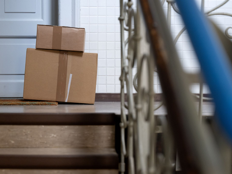 Die Katze hatte sich nach bisherigen Erkenntnissen unbemerkt in den Karton gelegt. (Symbolbild) - Foto: Sven Hoppe/dpa