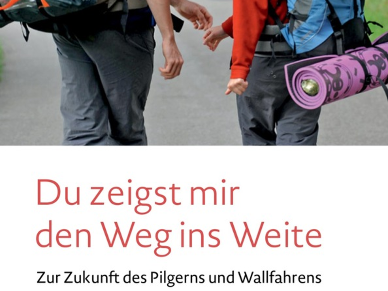 Weihbischof Lohmann zur Zukunft des Pilgerns und den Vorbereitungen des Heiligen Jahres - Foto: presseportal.de