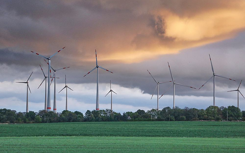 Windräder (Archiv) - Foto: über dts Nachrichtenagentur