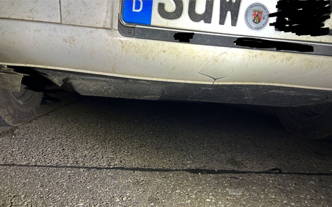 POL-PDLD: Burrweiler - Wildschweine kreuzen die L 507 - Foto: presseportal.de