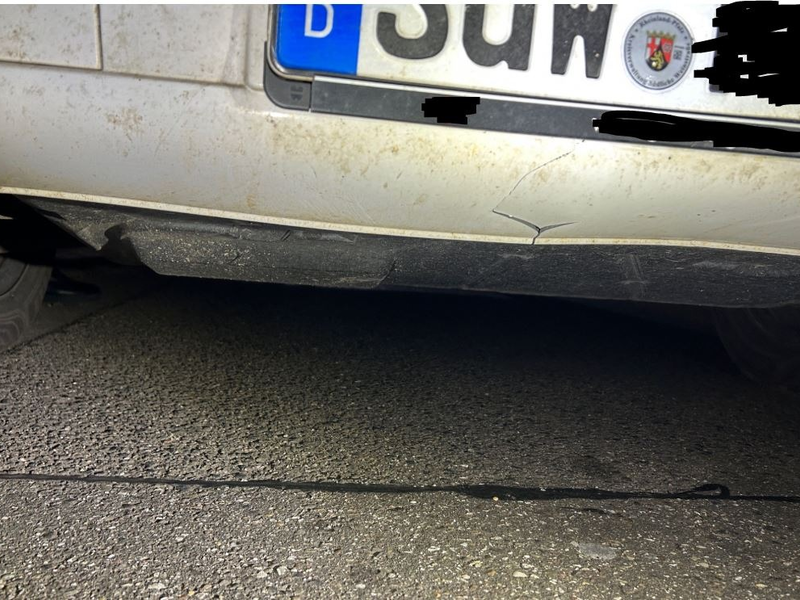 POL-PDLD: Burrweiler - Wildschweine kreuzen die L 507 - Foto: presseportal.de