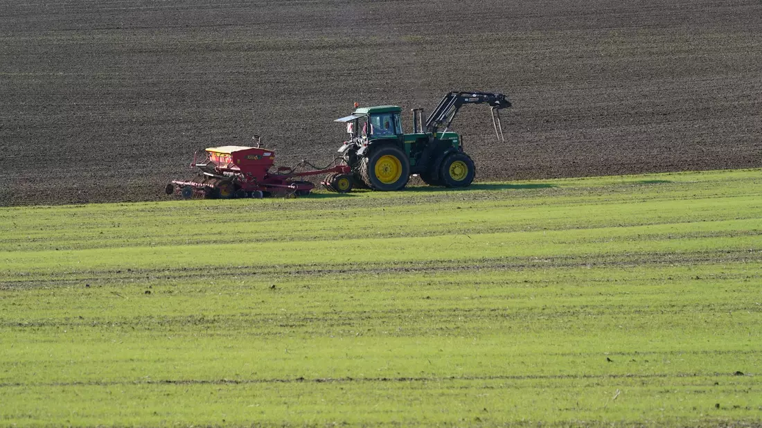 Landwirte in Deutschland stehen vor vielfältigen Herausforderungen.  - Bild: Marcus Brandt/dpa