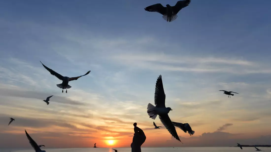 Sonnige Reiseziele wie Thailand sind laut Dertour in diesem Winter besonders gefragt. (Archivbild) - Bild: Rachen Sageamsak/XinHua/dpa