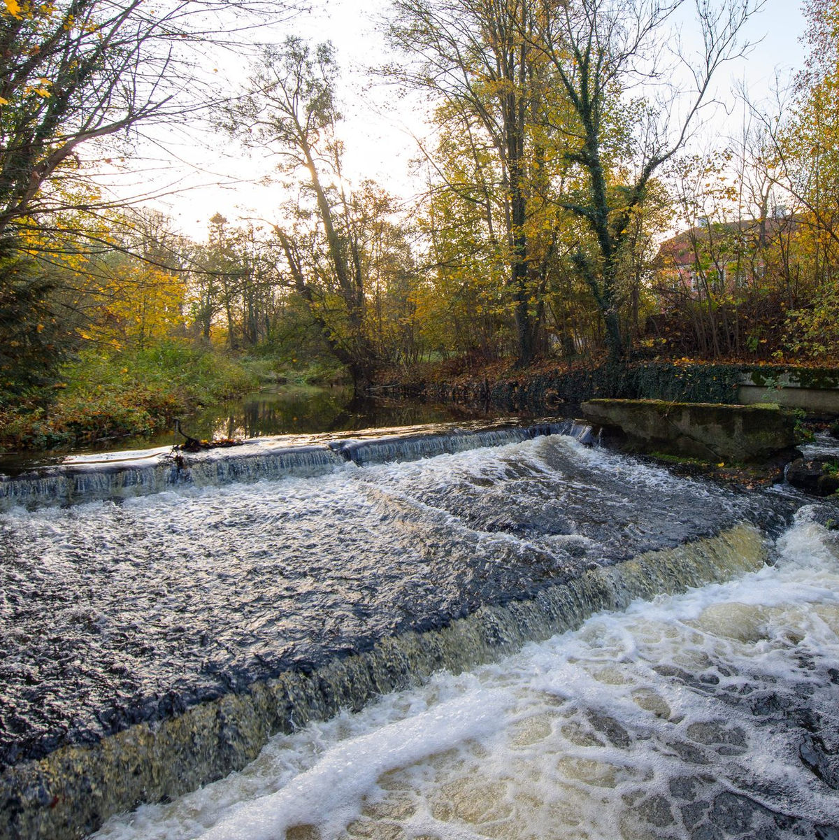 Das Wolfshagener Wehr gehört laut WWF zu den 16 Top-Kandidaten für einen Rückbau. (Archivbild) - Foto: Soeren Stache/dpa-Zentralbild/dpa