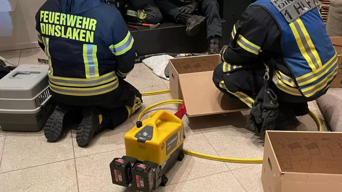 FW Dinslaken: Wildvogelrettung durch die Feuerwehr - Bild: presseportal.de