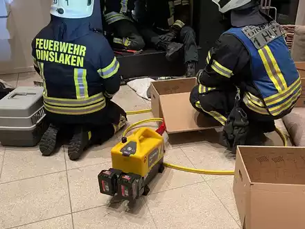 FW Dinslaken: Wildvogelrettung durch die Feuerwehr - Foto: presseportal.de