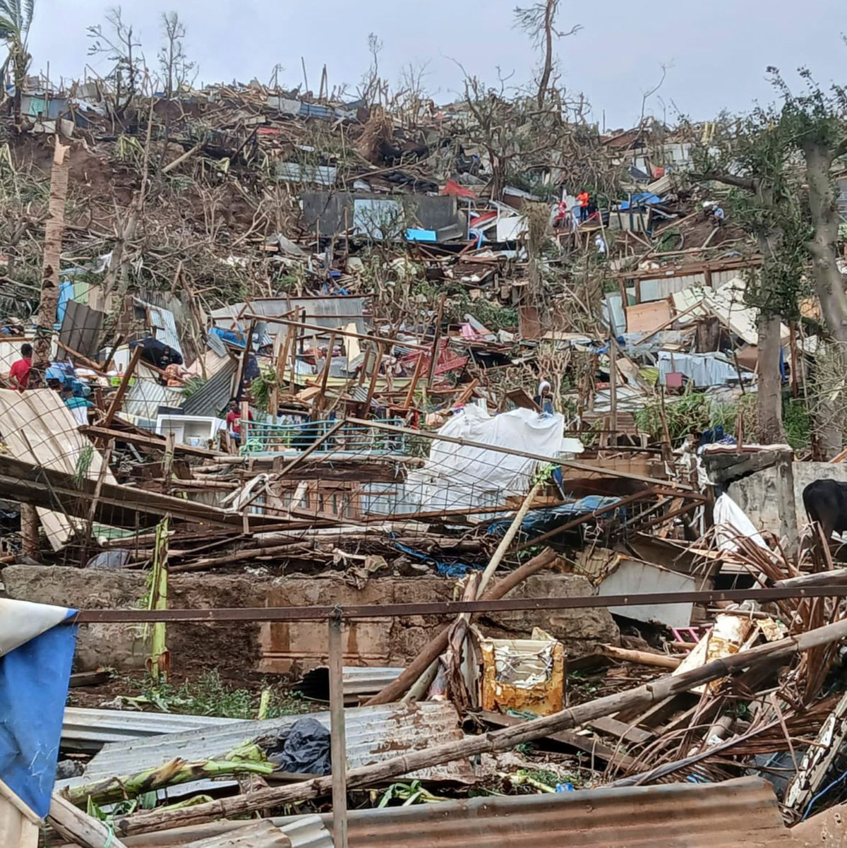 Zyklon «Chido» zerstörte viele Behausungen im französischen Überseegebiet Mayotte (Foto aktuell). - Foto: Uncredited/Medecins du Monde via AP/dpa