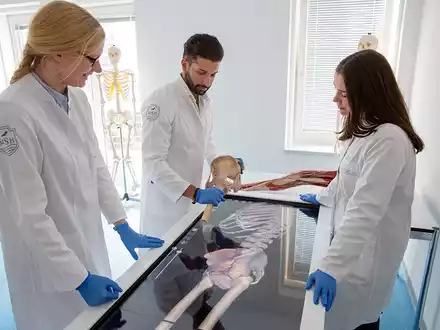 Helios und die IRO Group bieten Medizinstudierenden eine universitäre Ausbildung auf Spitzenniveau - Foto: presseportal.de