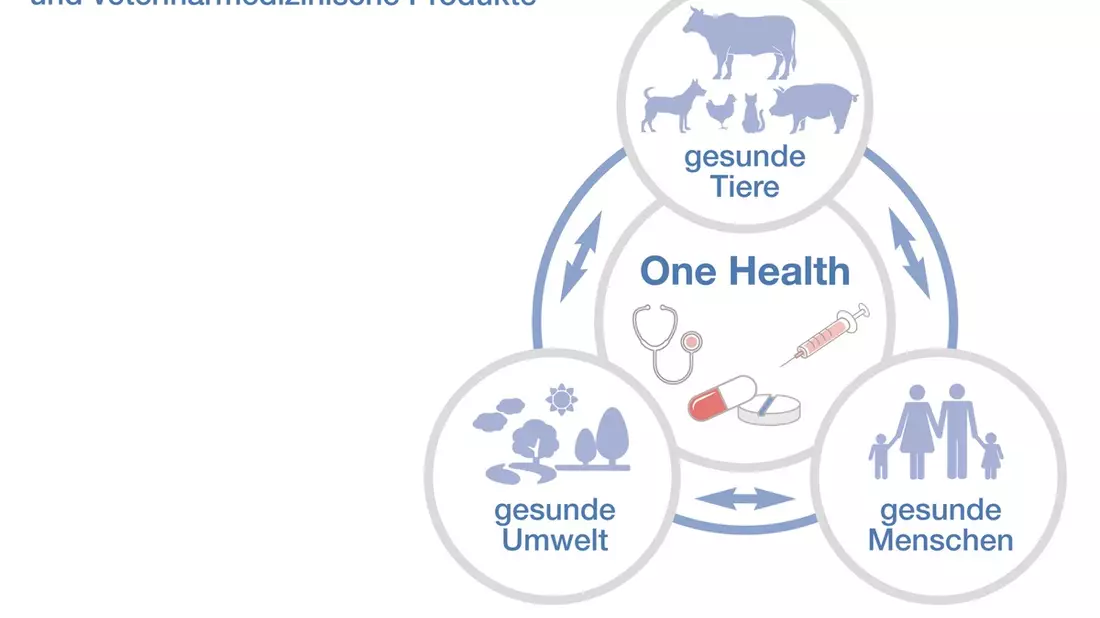 BPI gründet neue Tierarzneimittel-Fachabteilung BPIvet - Bild: presseportal.de