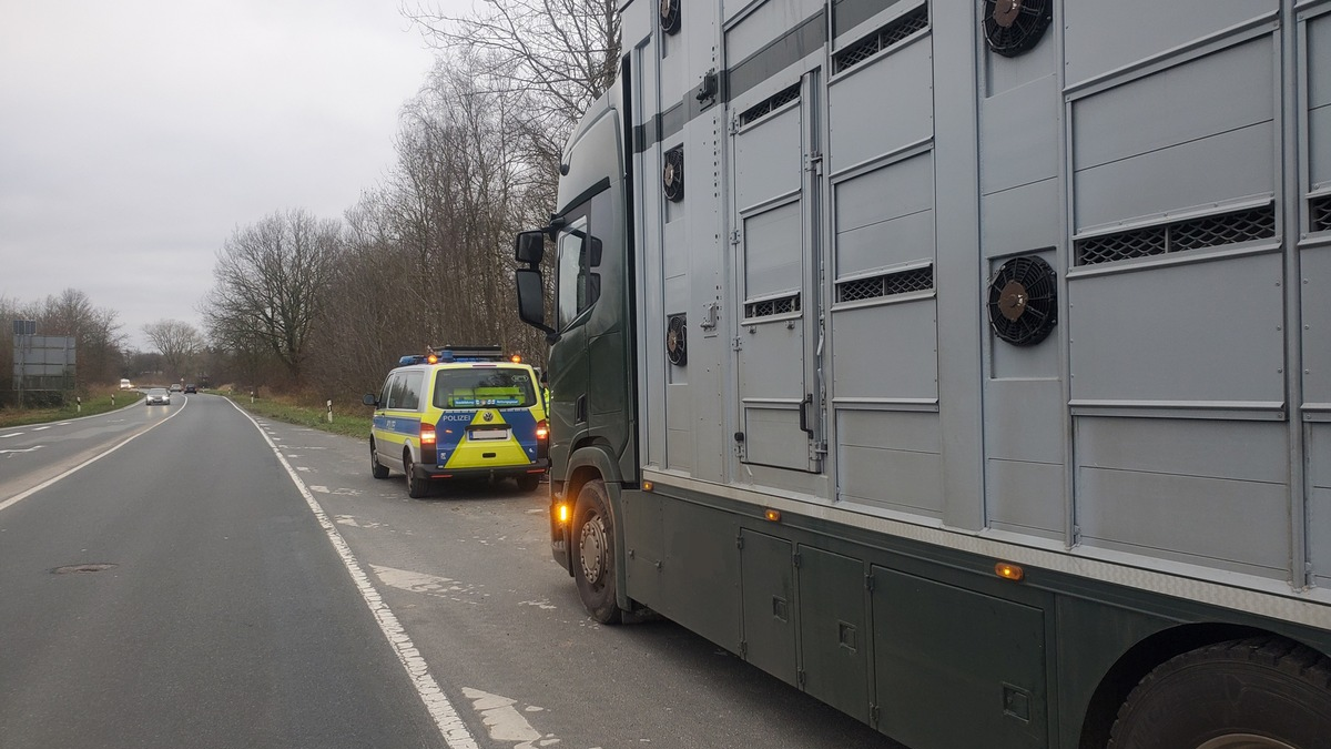 POL-CUX: Gemeinsame Kontrollen von Tier- und Lebensmitteltransporten - Polizei und Veterinärwesen des Landkreises Cuxhaven ziehen positives Fazit - Foto: presseportal.de