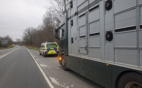 POL-CUX: Gemeinsame Kontrollen von Tier- und Lebensmitteltransporten - Polizei und Veterinärwesen des Landkreises Cuxhaven ziehen positives Fazit - Foto: presseportal.de