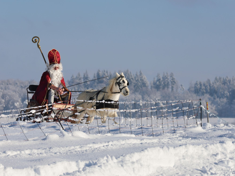 Sonderlich häufig waren weiße Weihnachten auch vor dem Klimawandel nicht. (Archivbild) - Foto: Thomas Warnack/dpa
