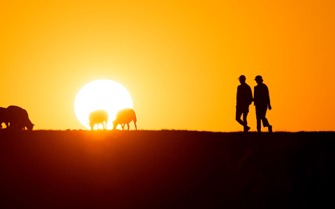 2024 war voraussichtlich das wärmste Jahr in Deutschland seit Beginn der Aufzeichnungen. (Archivbild) - Foto: Daniel Reinhardt/dpa