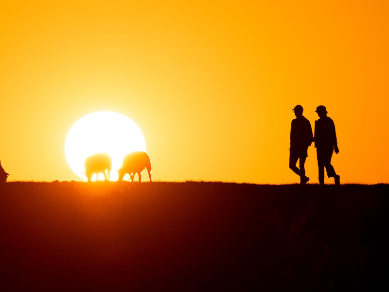 2024 war voraussichtlich das wärmste Jahr in Deutschland seit Beginn der Aufzeichnungen. (Archivbild) - Foto: Daniel Reinhardt/dpa