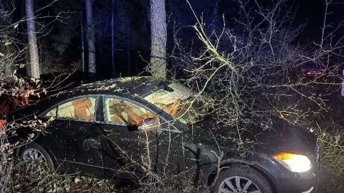 POL-NI: Haßbergen - Verkehrsunfall mit einer verletzten Person - Bild: presseportal.de