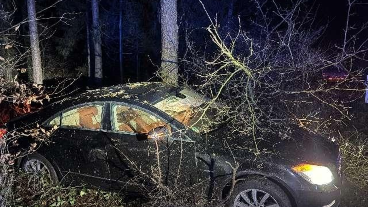 POL-NI: Haßbergen - Verkehrsunfall mit einer verletzten Person - Foto: presseportal.de