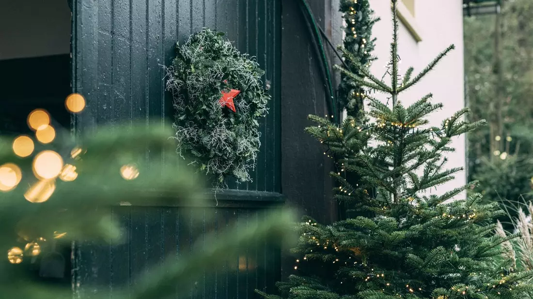 Aktuelle YouGov-Studie ermittelt Top-Kaufkriterien und Vorteile echter Weihnachtsbäume / Das Auge kauft mit - Bild: presseportal.de