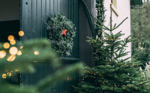 Aktuelle YouGov-Studie ermittelt Top-Kaufkriterien und Vorteile echter WeihnachtsbÀume / Das Auge kauft mit - Foto: presseportal.de Aktuelle YouGov-Studie ermittelt Top-Kaufkriterien und Vorteile echter WeihnachtsbÀume / Das Auge kauft mit - Foto: presseportal.de