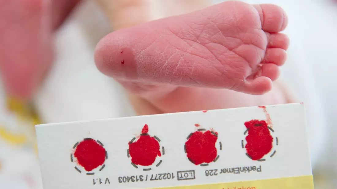 Ein Bluttropfen vom Fuß eines Babys genügt, um viele Krankheit zu erkennen. (Archivbild) - Bild: picture alliance / Stefan Sauer/dpa-Zentralbild/dpa