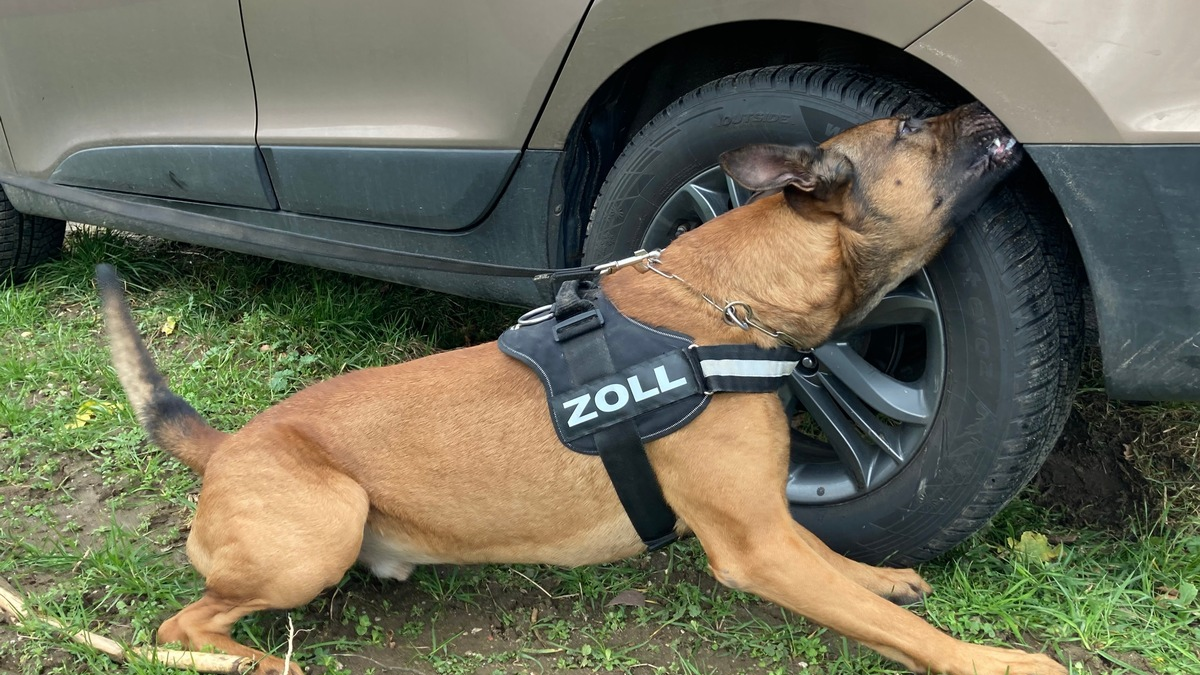 HZA-KR: Mit über fünf Kilogramm Heroin aus den Niederlanden in die Zollkontrolle - Foto: presseportal.de