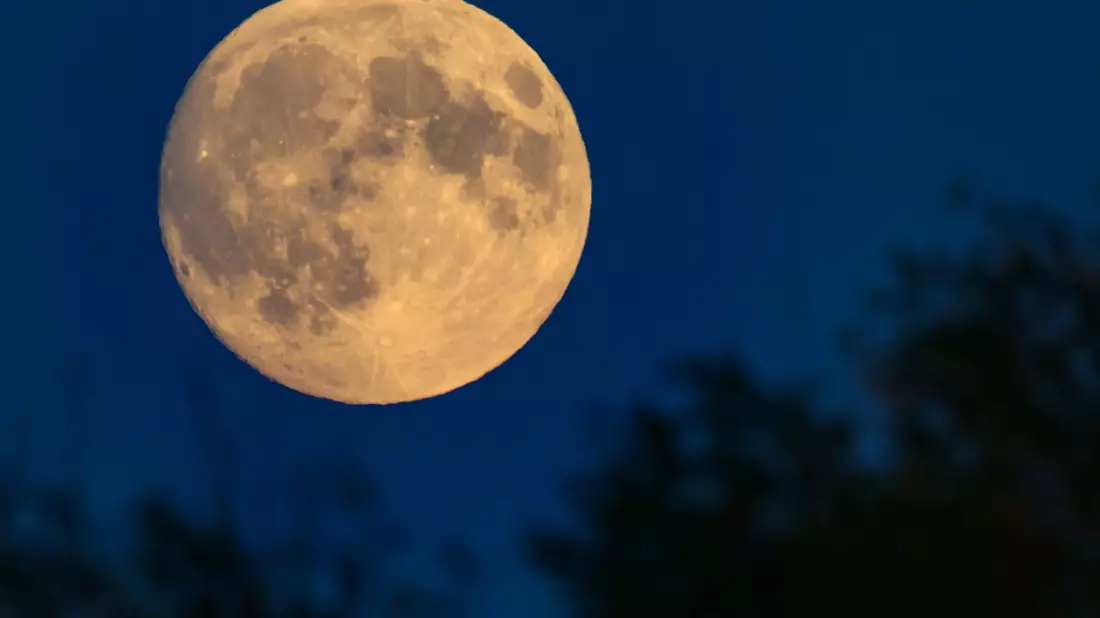 Der Mond zeugt von einer planetaren Katastrophe. (Archivbild) - Bild: Patrick Pleul/dpa