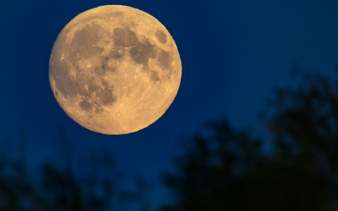 Der Mond zeugt von einer planetaren Katastrophe. (Archivbild) - Foto: Patrick Pleul/dpa