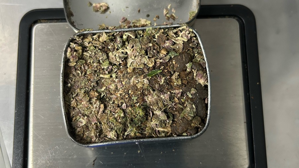 HZA-RO: Sechs Strafverfahren nach Kontrollen des grenzüberschreitenden Reiseverkehrs in Bus und Bahn eingeleitet / Zollhündin Siri erneut erfolgreich - Foto: presseportal.de