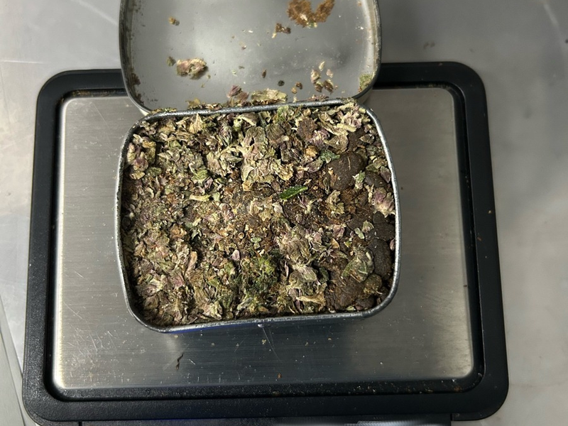 HZA-RO: Sechs Strafverfahren nach Kontrollen des grenzüberschreitenden Reiseverkehrs in Bus und Bahn eingeleitet / Zollhündin Siri erneut erfolgreich - Foto: presseportal.de