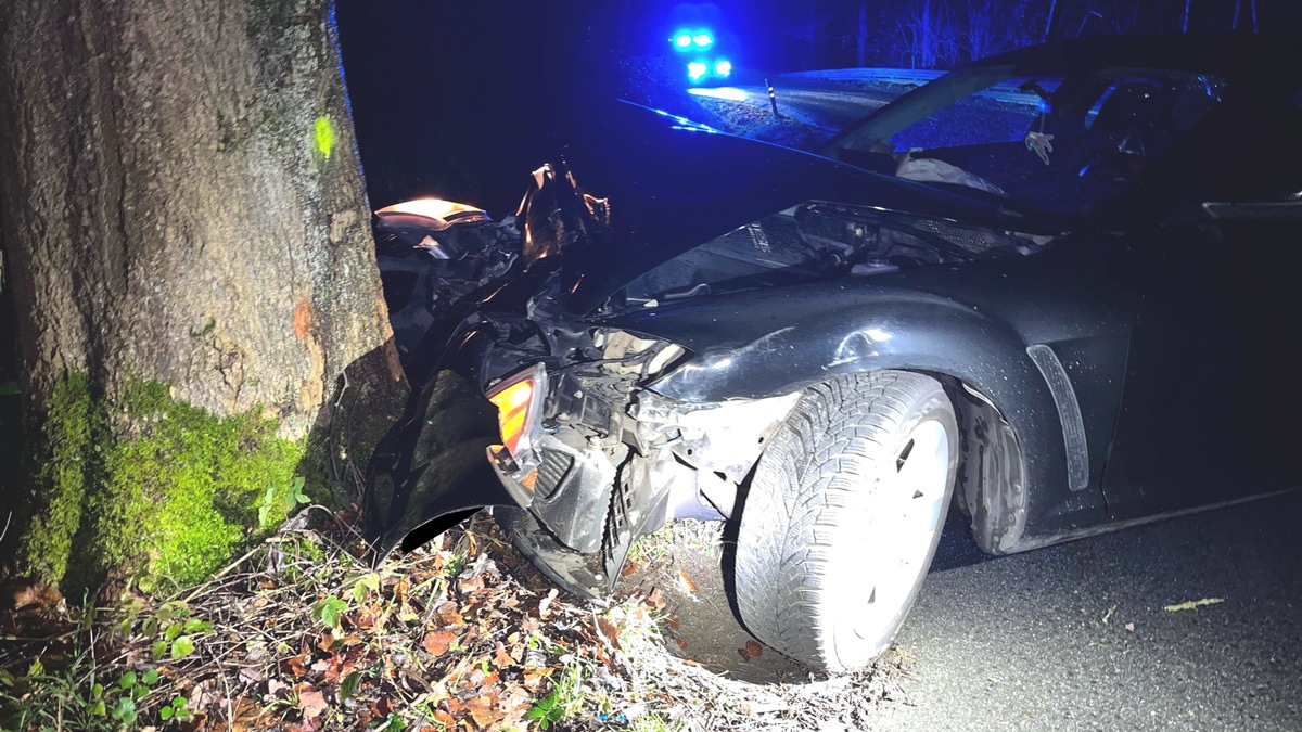 POL-MI: Auto kracht gegen Straßenbaum - Foto: presseportal.de