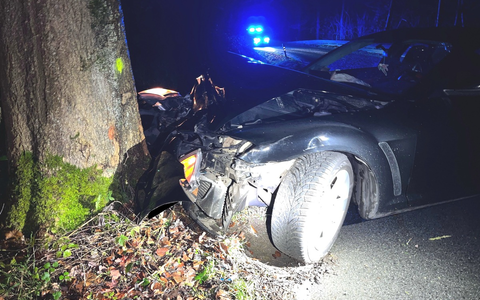 POL-MI: Auto kracht gegen Straßenbaum - Foto: presseportal.de