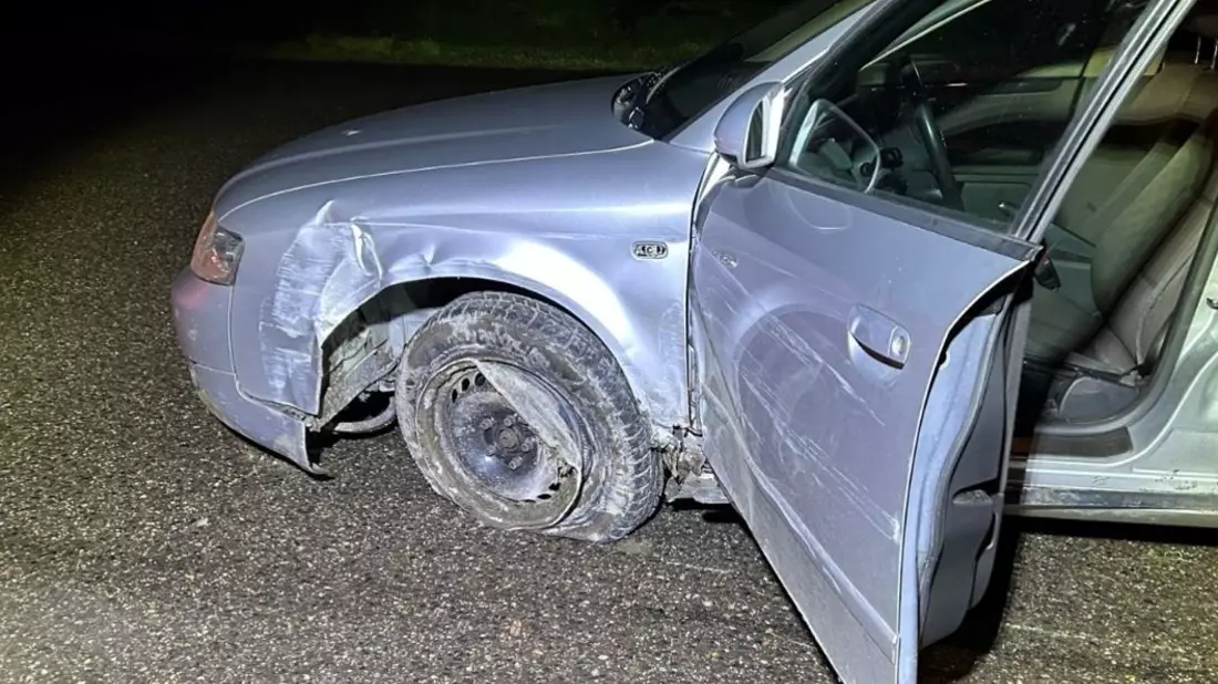 POL-PDLD: Edenkoben - Zugedröhnt von der Fahrbahn abgekommen - Bild: presseportal.de