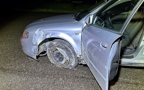 POL-PDLD: Edenkoben - Zugedröhnt von der Fahrbahn abgekommen - Foto: presseportal.de