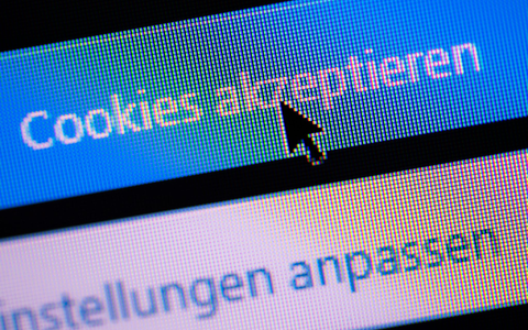Einer Bitkom-Umfrage zufolge sind drei Viertel der Internet-Nutzerinnen und -Nutzer von Cookie-Bannern genervt. - Foto: Lino Mirgeler/dpa