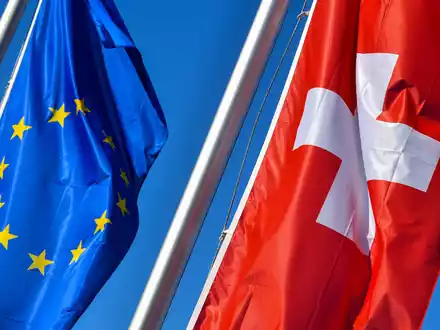 Die Schweiz gehört unter anderem zum Schengenraum der europäischen Länder. (Archivbild) - Foto: Patrick Pleul/dpa-Zentralbild/dpa