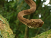 Betreten verboten: Terra X im ZDF über geheime Orte - Foto: presseportal.de