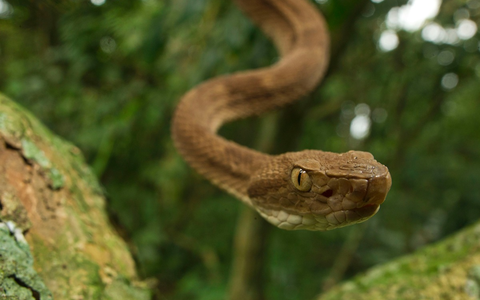Betreten verboten: Terra X im ZDF über geheime Orte - Foto: presseportal.de