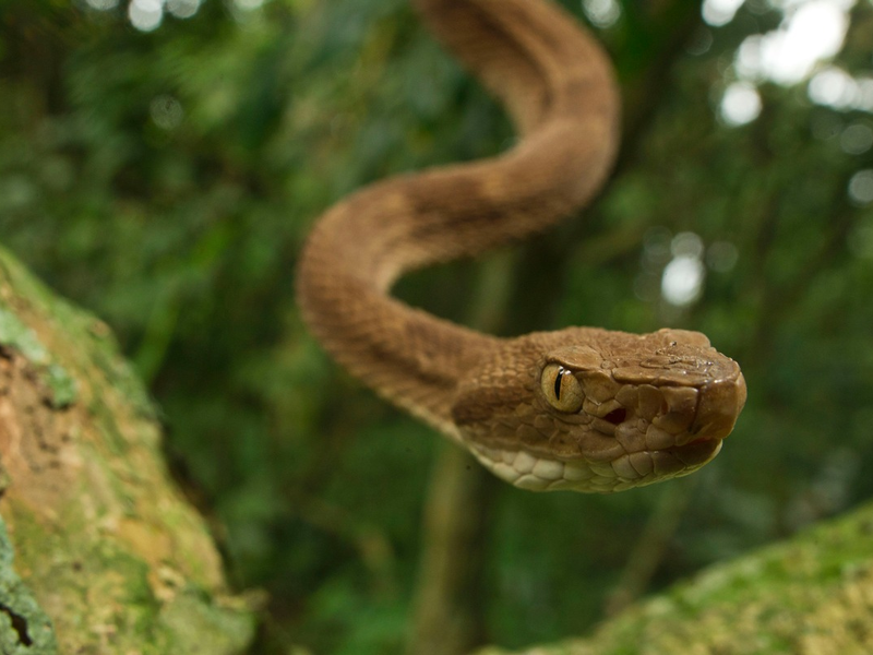 Betreten verboten: Terra X im ZDF über geheime Orte - Foto: presseportal.de