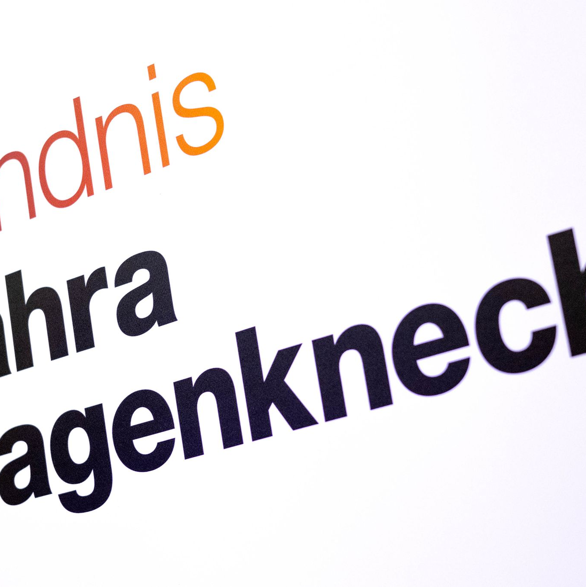 Das BSW will kein Fairnessabkommen mit den übrigen Parteien im Bundestag - weil es sich unfair behandelt fühlt. (Symbolbild) - Foto: Sina Schuldt/dpa