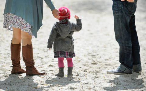 Mehr als fünf Milliarden Euro - Foto: picture alliance / Andreas Gebert/dpa
