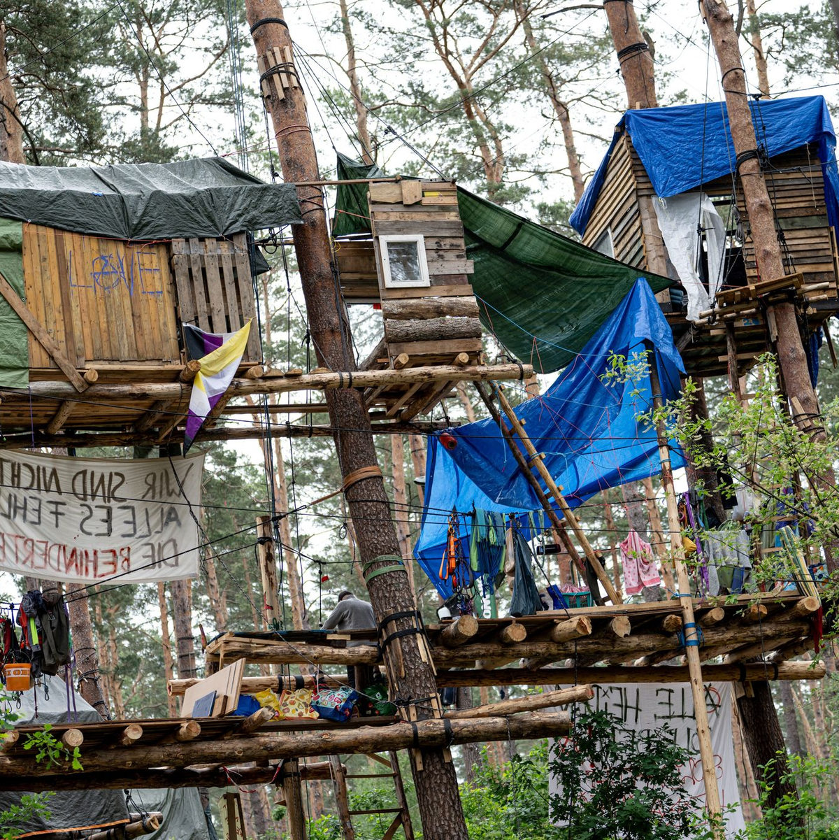 Protest gegen den E-Autobauer.  - Foto: Fabian Sommer/dpa
