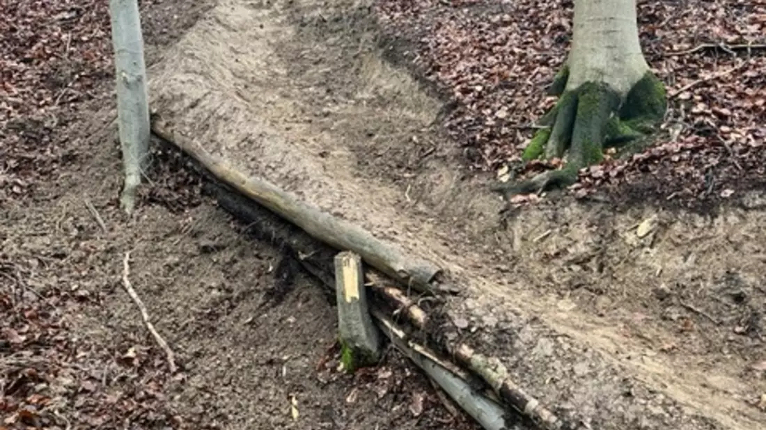 POL-NI: Lauenau - Illegaler Mountainbiketrail im Deister errichtet - Bild: presseportal.de