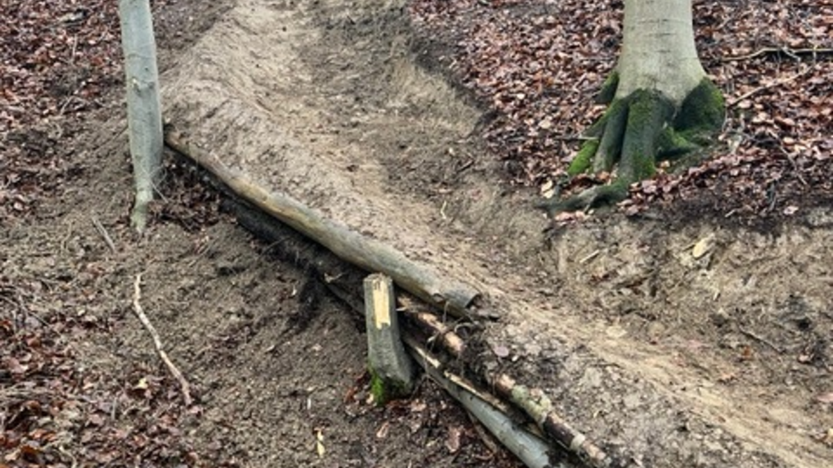 POL-NI: Lauenau - Illegaler Mountainbiketrail im Deister errichtet - Foto: presseportal.de