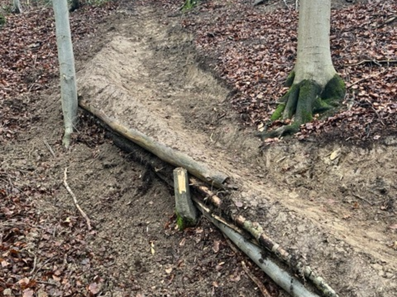 POL-NI: Lauenau - Illegaler Mountainbiketrail im Deister errichtet - Foto: presseportal.de