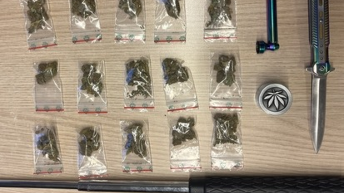 BPOL-FL: Rauschgift, Schlagstock und Messer am Bahnhof sichergestellt - Foto: presseportal.de