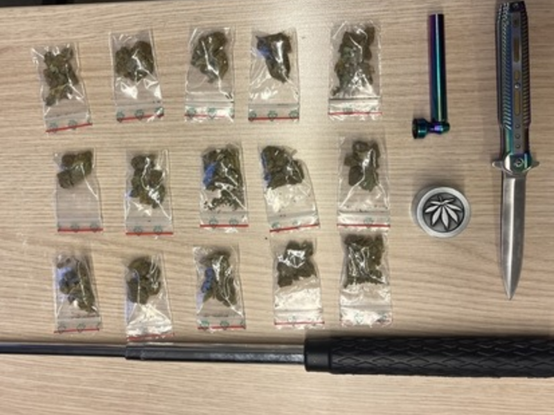 BPOL-FL: Rauschgift, Schlagstock und Messer am Bahnhof sichergestellt - Foto: presseportal.de