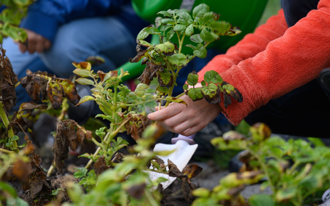 Wissenschaftsjournalist Harald Lesch und Erziehungswissenschaftler Klaus Zierer fordern, dass jede Schule in Deutschland einen Schulgarten haben sollte. (Symbolbild) - Foto: Klaus-Dietmar Gabbert/dpa/ZB
