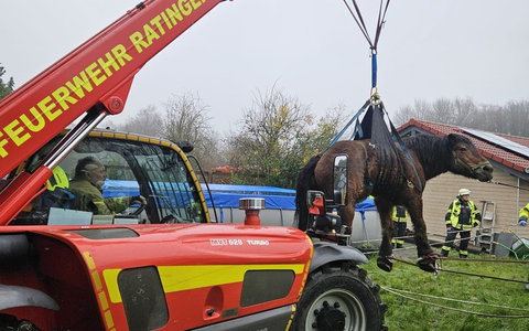 FW Ratingen: Überörtlicher Einsatz nach Erkrath zu einem Großtier in Not - Foto: presseportal.de